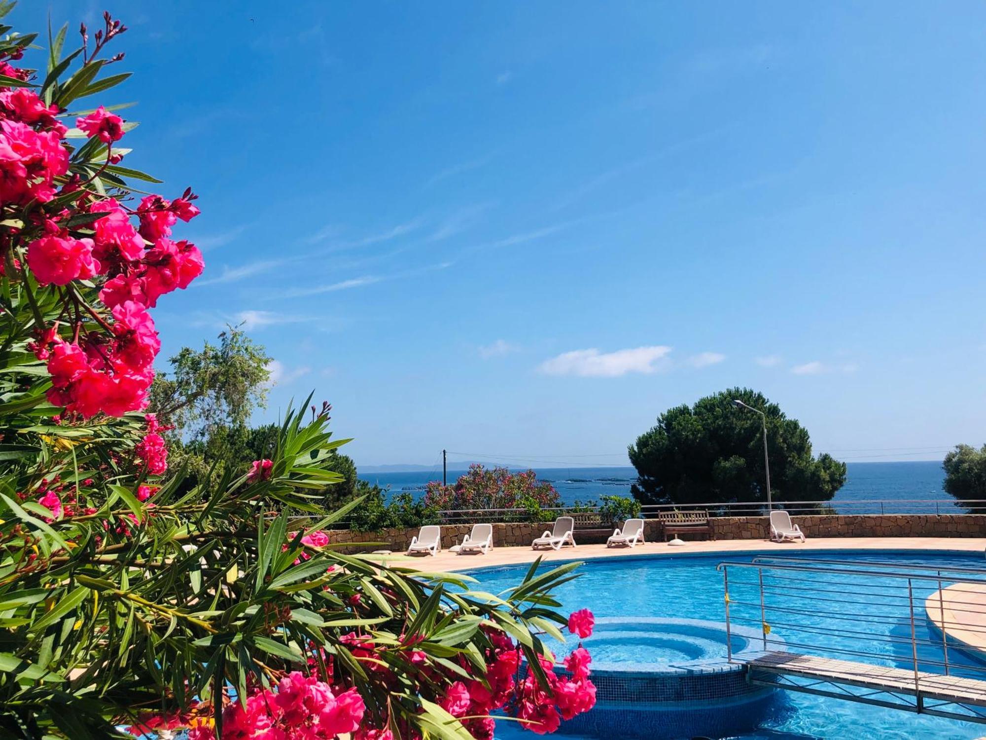 T2 Vue Mer - Résidence Les Sanguinaires Ajaccio  Esterno foto